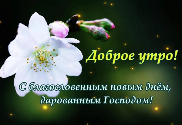 доброго утра благословенного