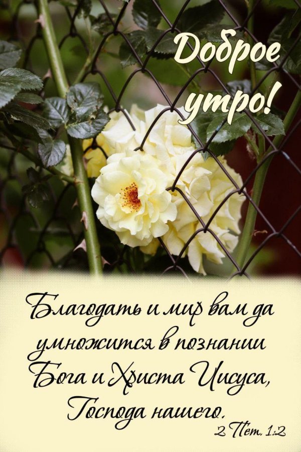 доброе утро благословение