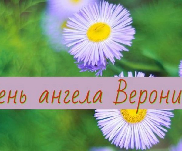 эригерон мелколепестник