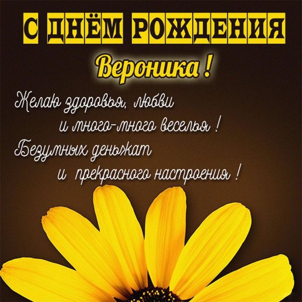 вероника с днем рождения