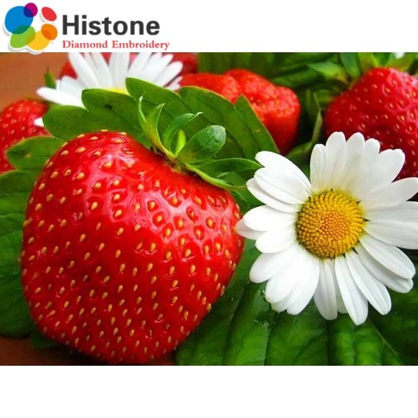 сорт клубники фестивальная ромашка