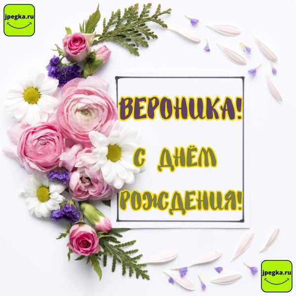 вероника с днем рождения