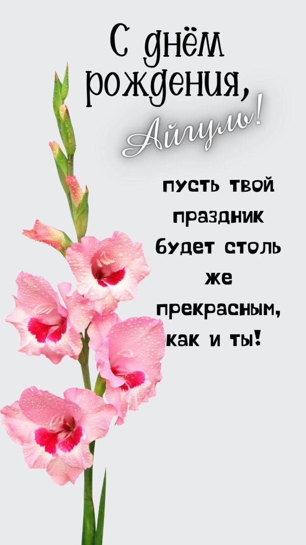 гладиолус стебель