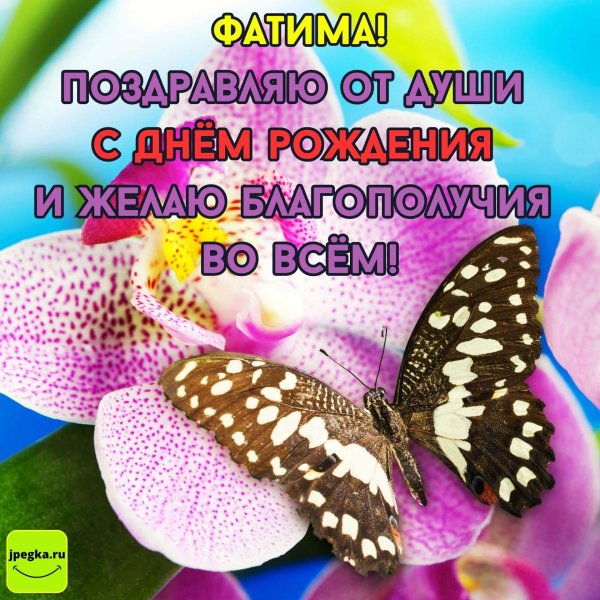 с днем рождения фатима