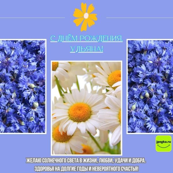 ромашка цветки