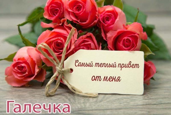теплый привет