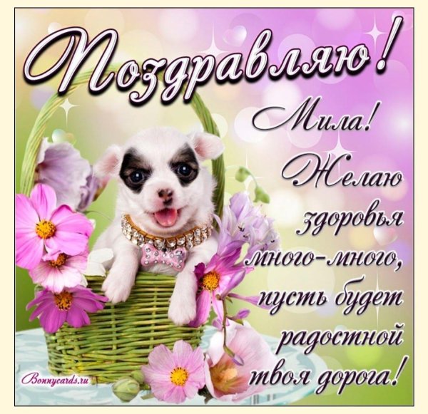 открытки и поздравления