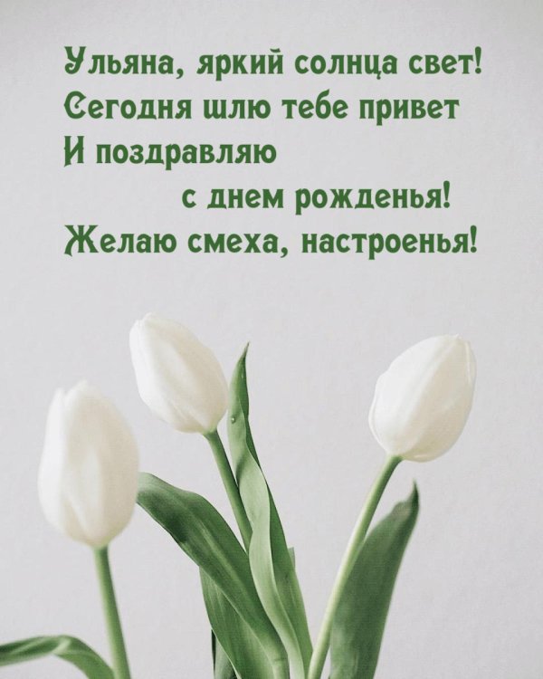 белые тюльпаны