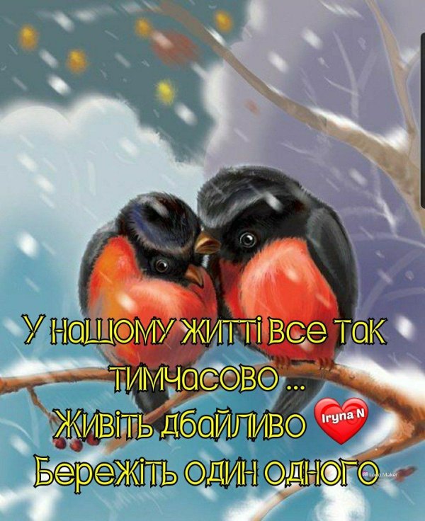 два снегиря