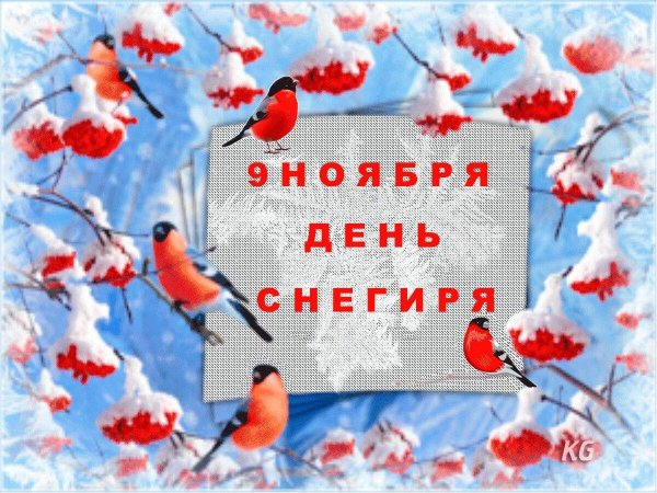 9 января день снегиря