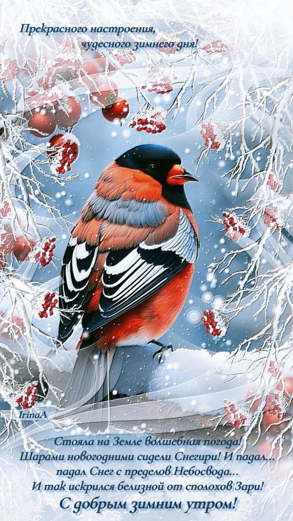 новогодние открытки со снегирями