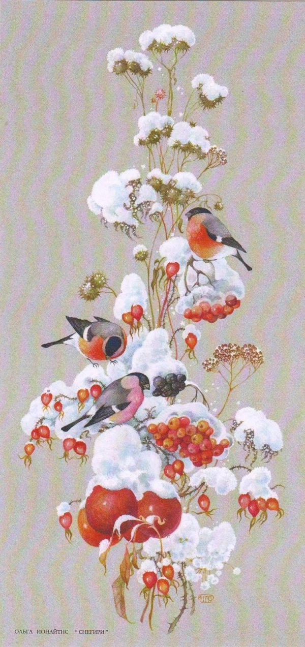 живопись птицы
