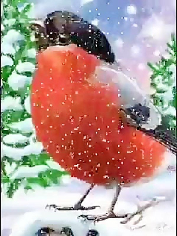 новый год снегири