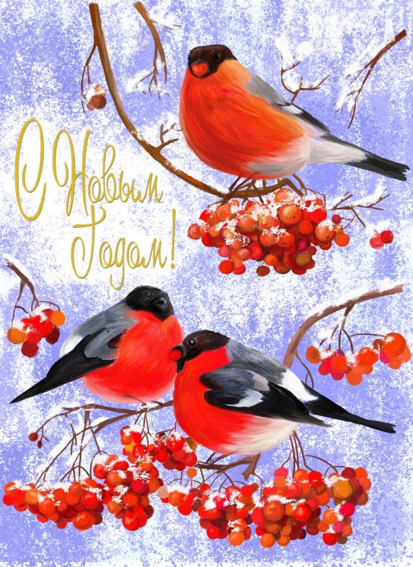 новогодние открытки со снегирями