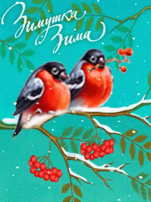 открытка со снегирями