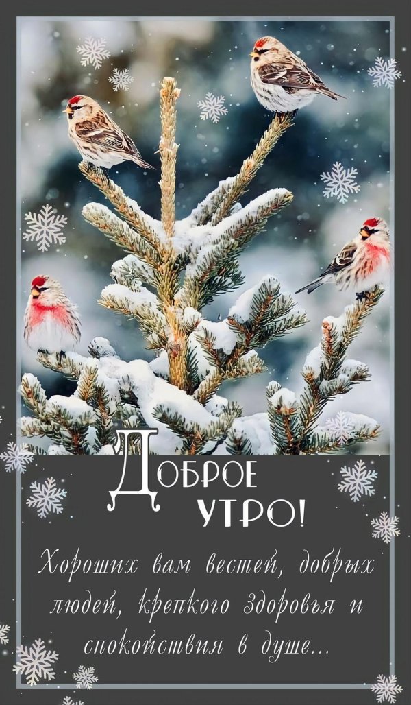 доброго утра зимнего
