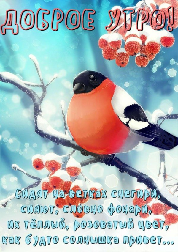 снегирь арт