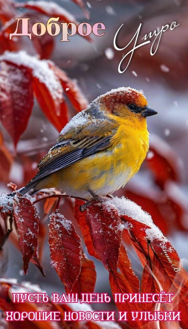 осеннего утра