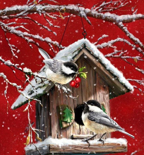 кормушка зимой