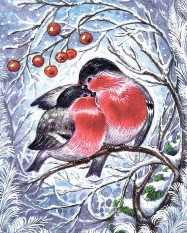 открытка со снегирями