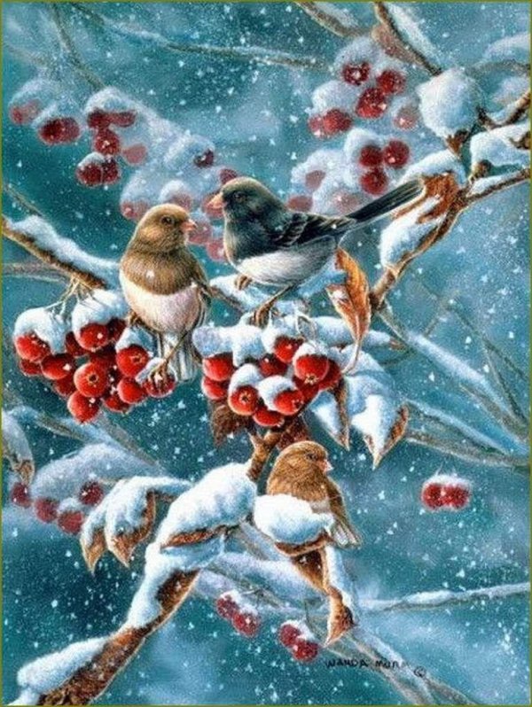 зимние птицы живопись