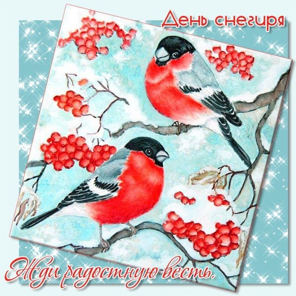 день снегирей