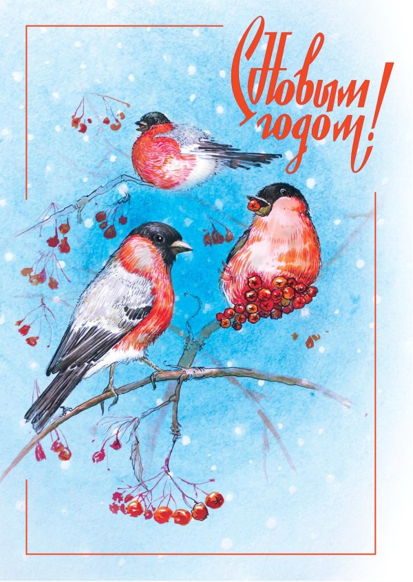 открытка со снегирями