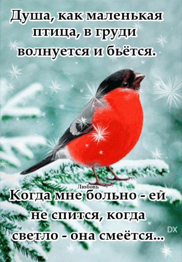 птица снегирь