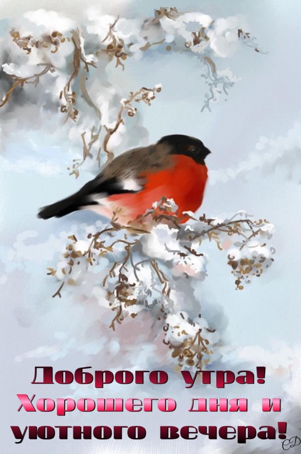 с добрым утром зимние пожеланиями
