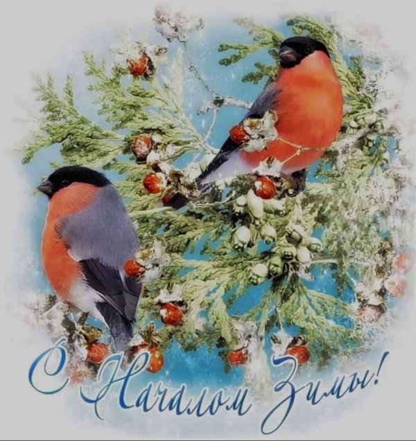 с первым днëм зимы