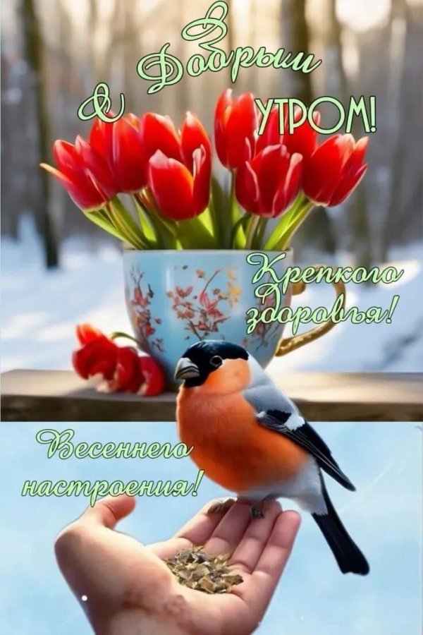 доброго утра зимнего