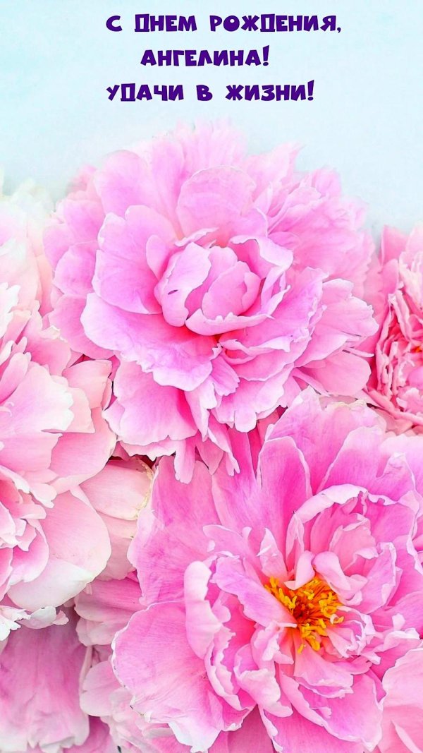 нежные пионы