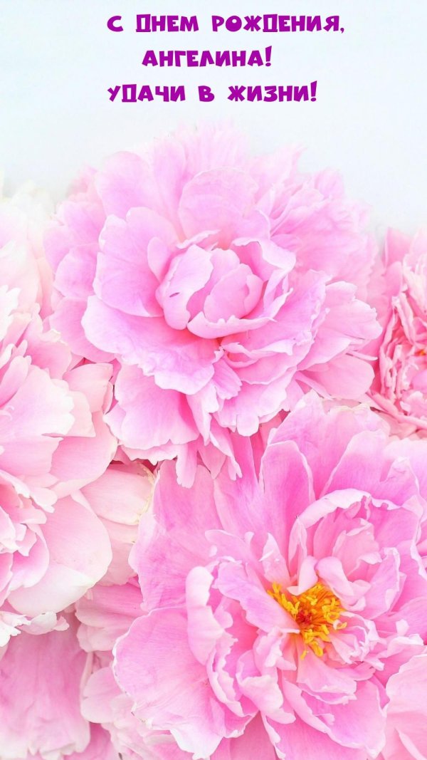 розовые пионы