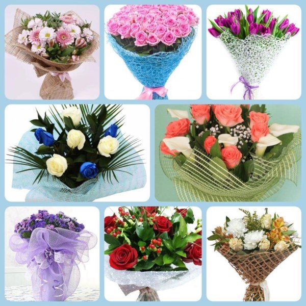 флористика для начинающих