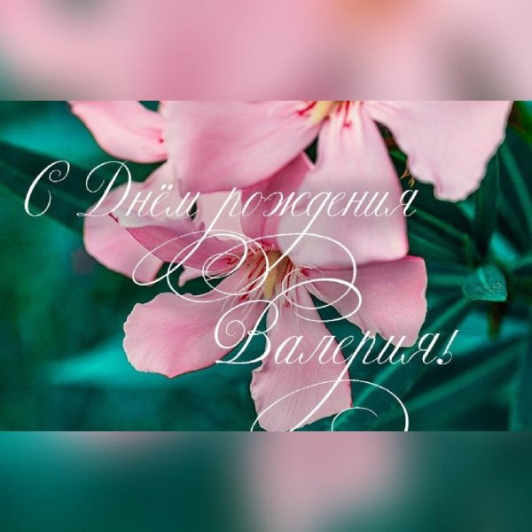с днём рождения валерия
