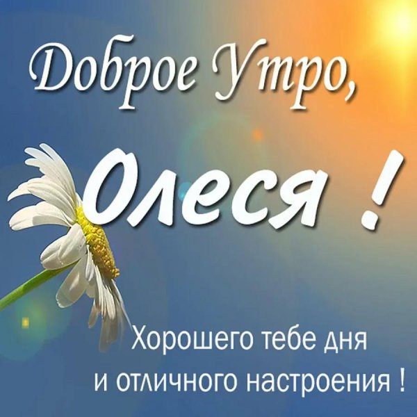 доброе утро ангелина