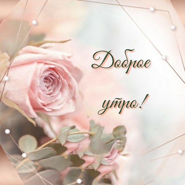 красивые нежные открытки