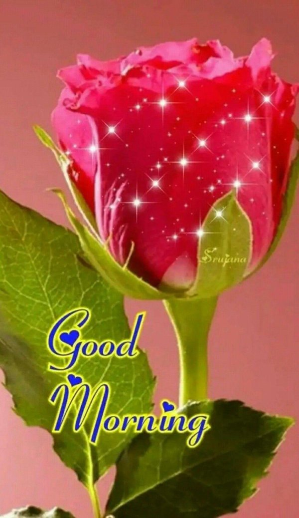 Доброе утро принцесса