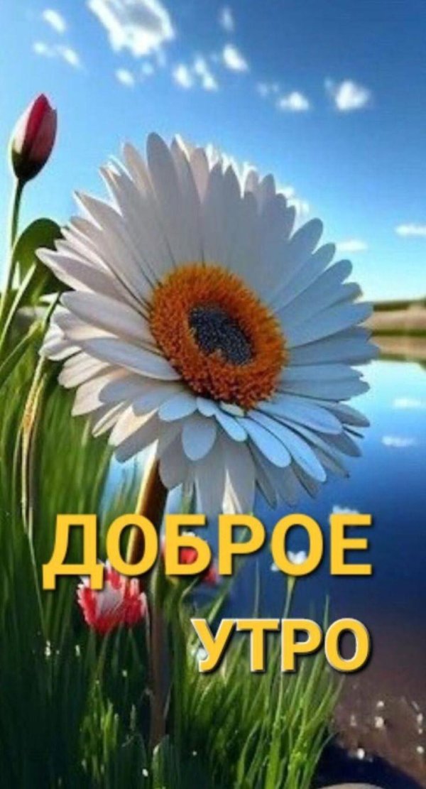 добра утра