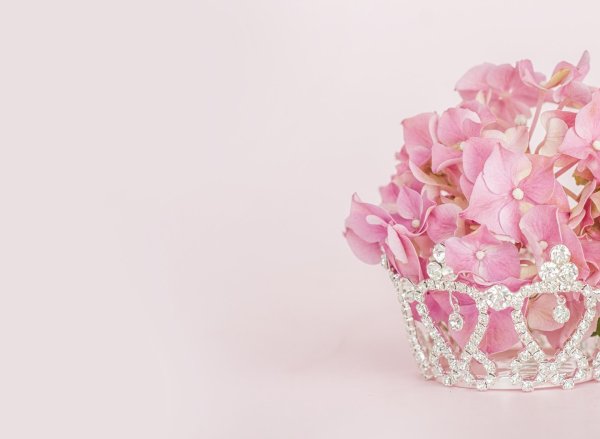 розовая гортензия