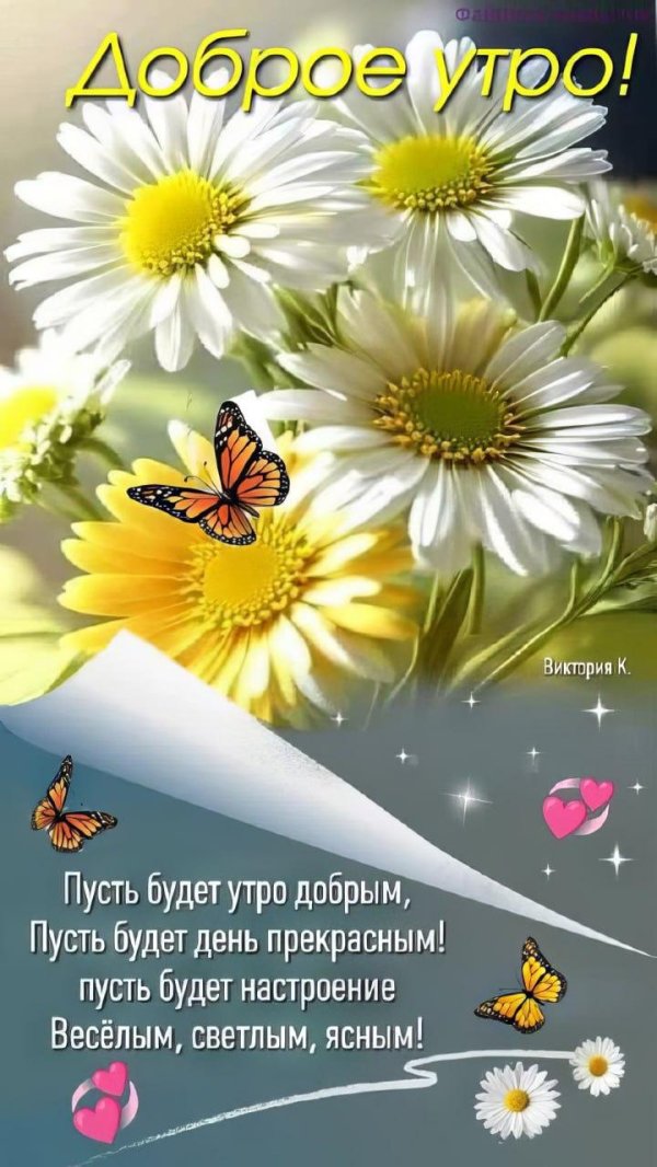 открытки с добрым днём летние
