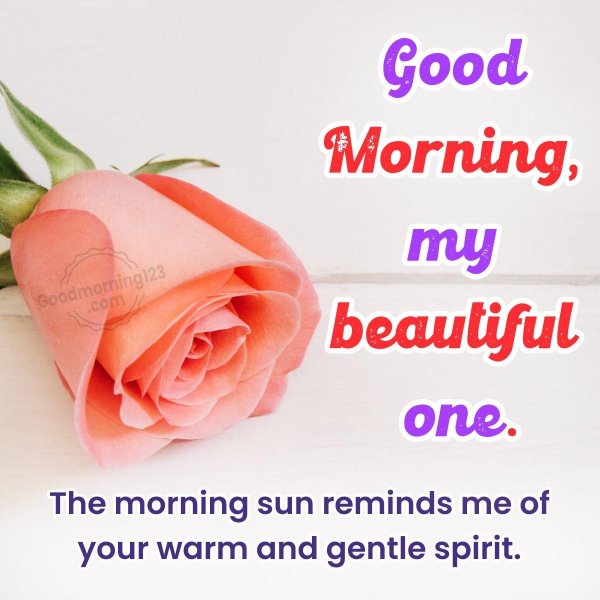 morning beautiful
