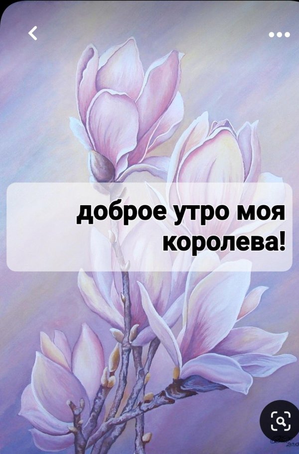 картина магнолии