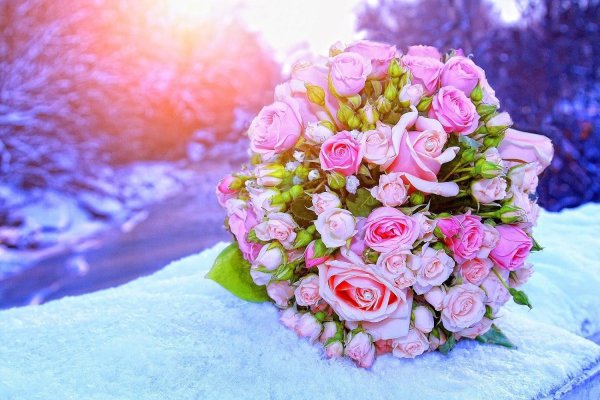 нежные букеты цветов