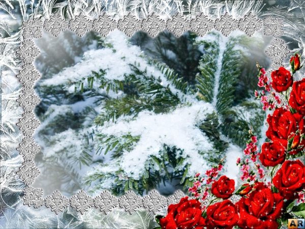 зимние цветы