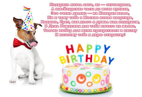 собачий день рождения джек рассел