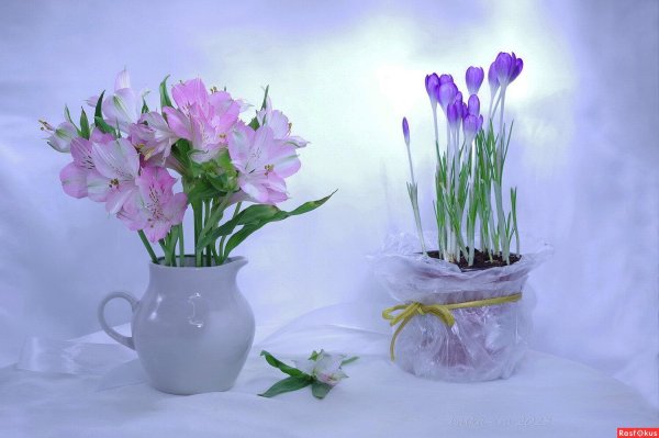 натюрморт весеннее настроение