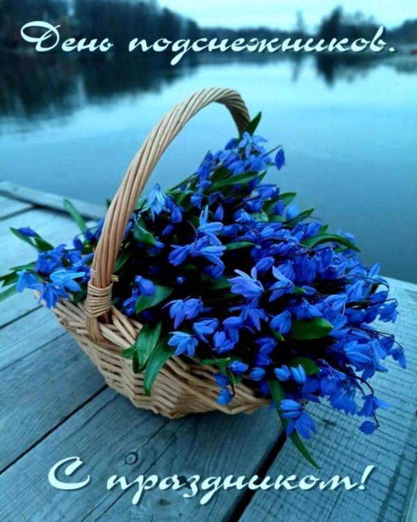 день подснежника