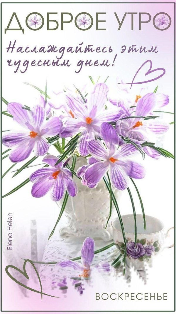 добрейшего весеннего утра