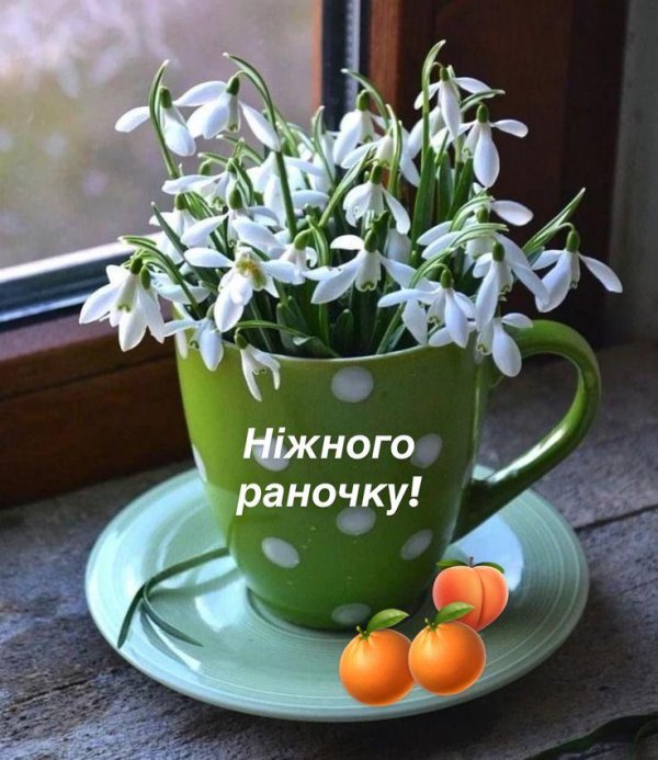 доброго утра весны